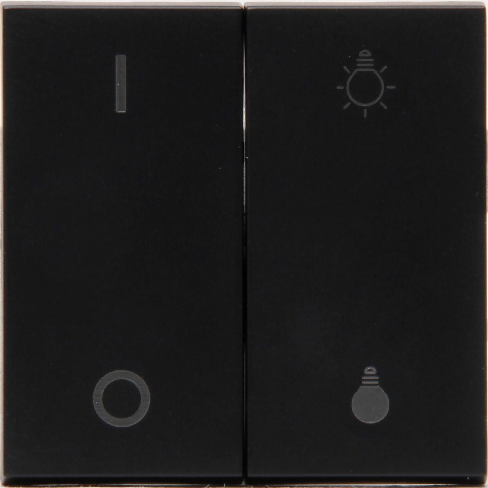 Blue-control - HK07 Flächendoppelwippe, mit Bedruckung für Dimmsteuerung, passend für den Hybrid-Smart-Switch, Farbe: anthrazit