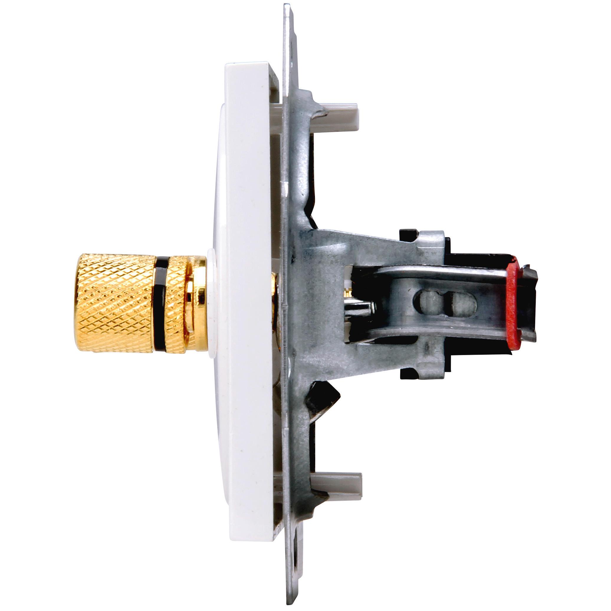 HK07 - loudspeaker socket for 4mm banana plugs or loudspeaker cables up to 16mm², colour: arctic white - Image 7